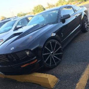 Meet your Posher, Eloisa